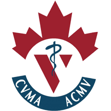 cvma